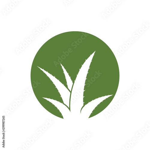 Aloe Vera logo vector icon concept