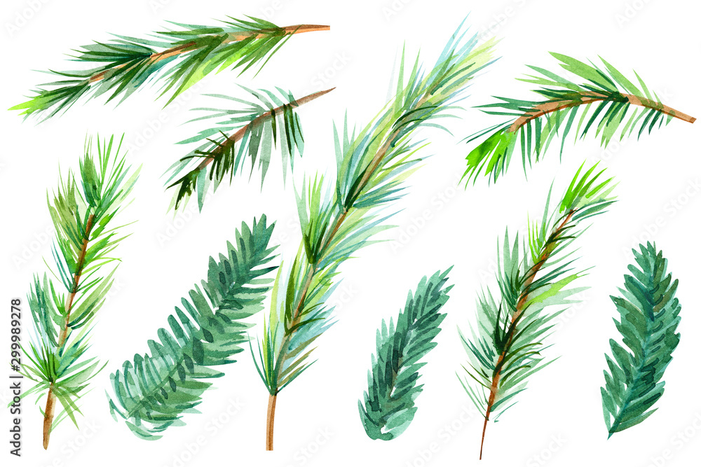 set of christmas elements, fir and pine branch on white isolated background set of christmas elements, fir and pine branch on white isolated background