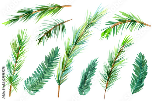 set of christmas elements, fir and pine branch on white isolated background