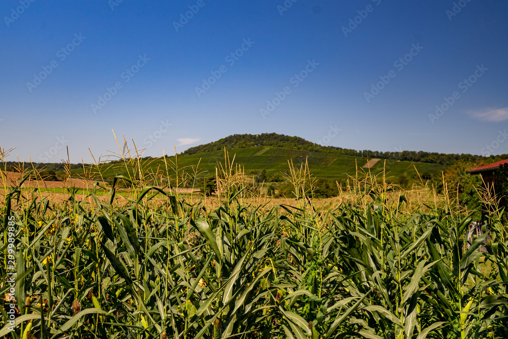 Landscape with fields meadows and mountains Landscape with fields meadows and mountains