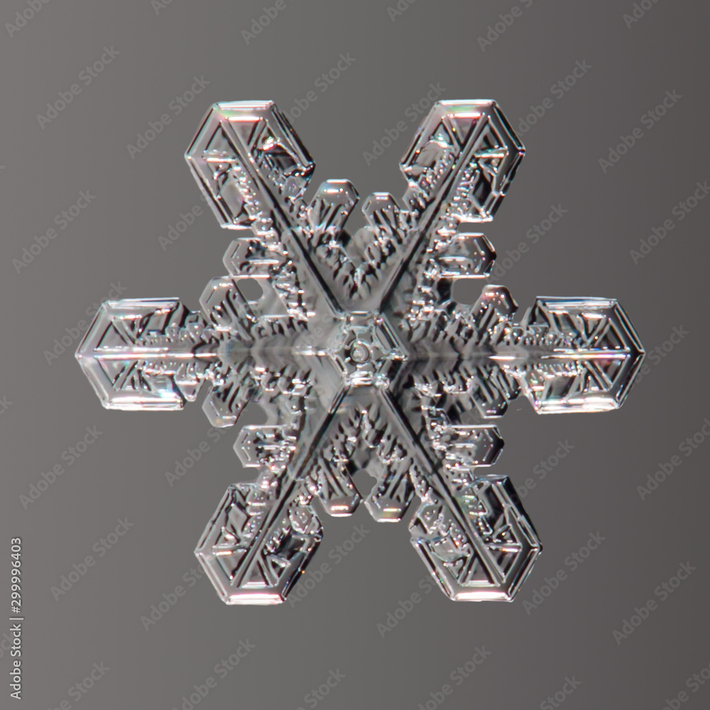 real snowflake real snowflake