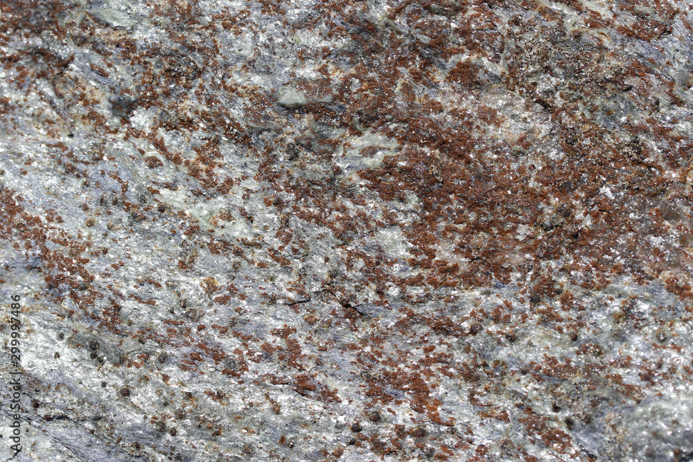 Texture Roche Texture Roche