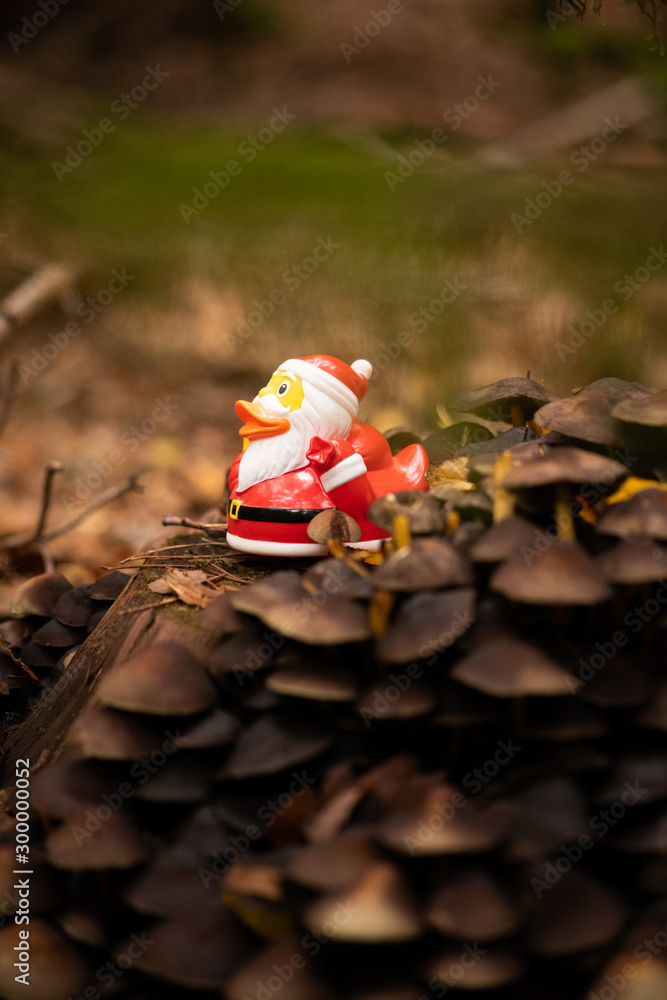 Santa Claus in the forrest 