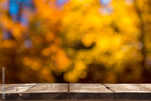 Rustic textured wooden board table in front of unfocused beautiful yellow autumn trees background. Ready for product placement template.