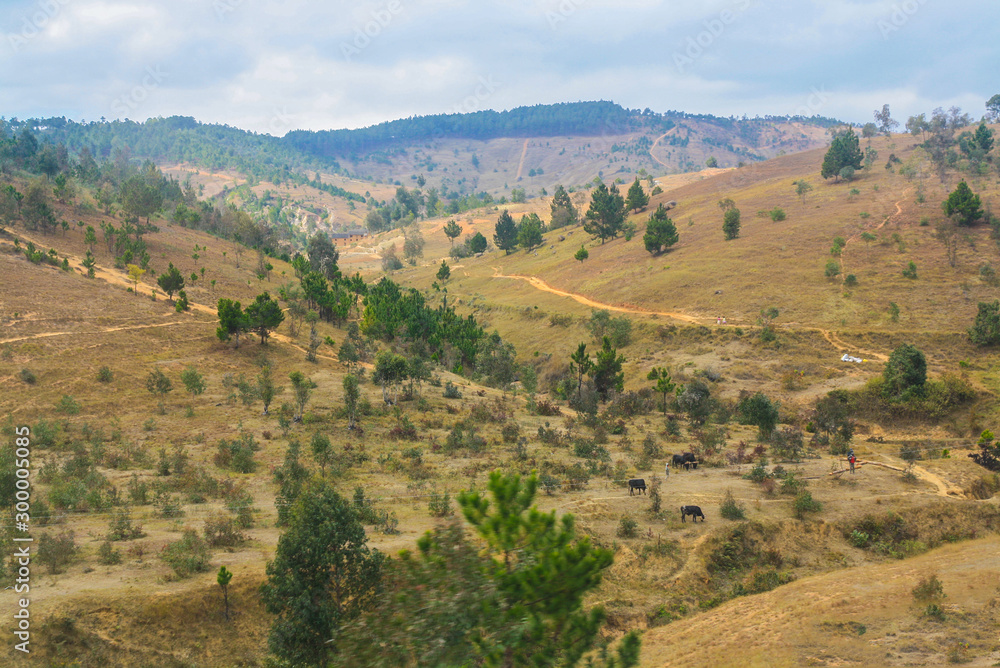 Hilly landscape in Madagascar
