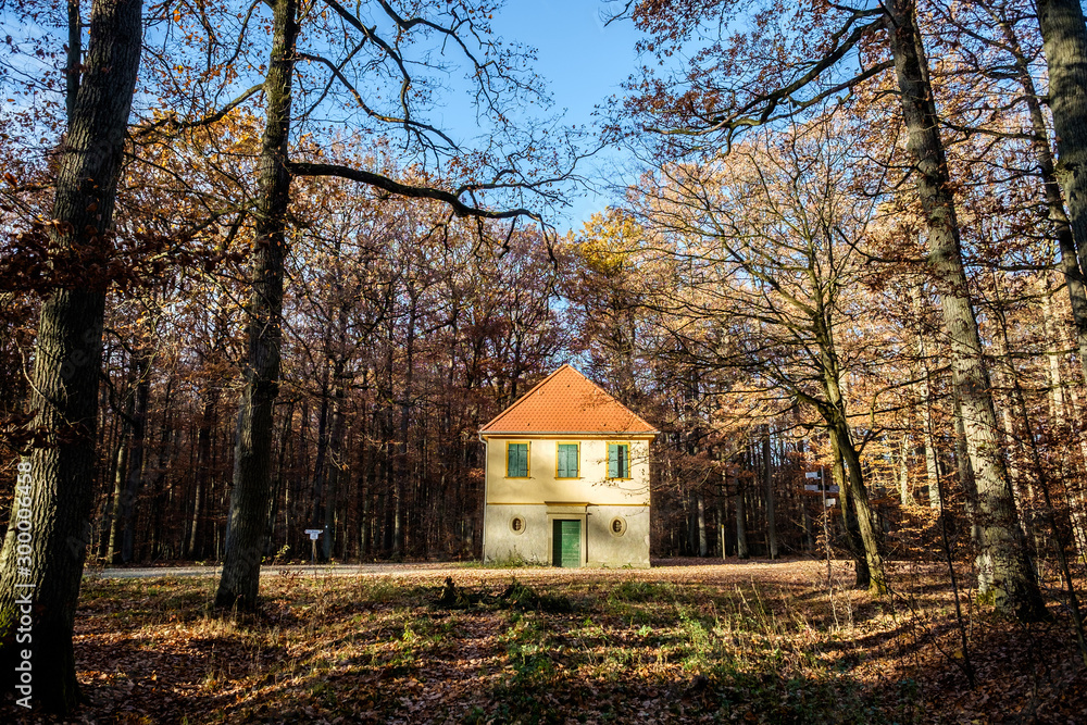 Dianenslust im Herbstwald, Schweinfurt