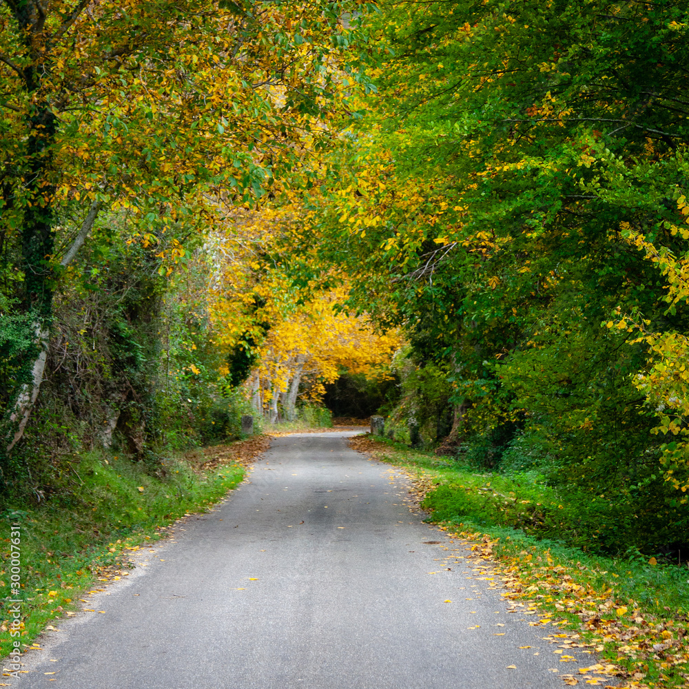 Otoño La RIoja