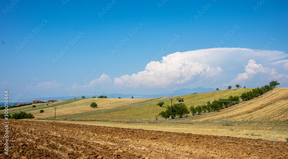 field in Greece 2