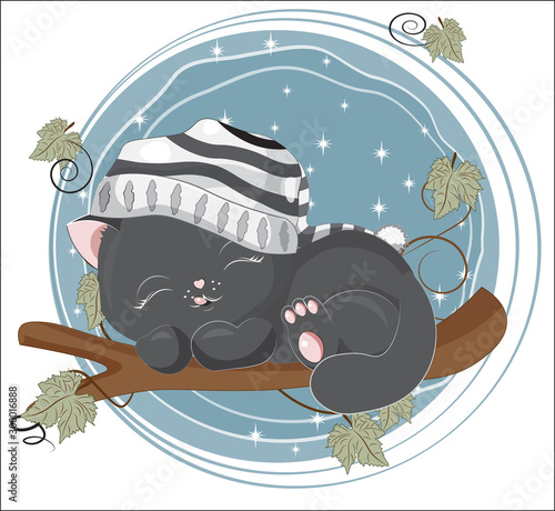 black cat in cap sleeps on branch
