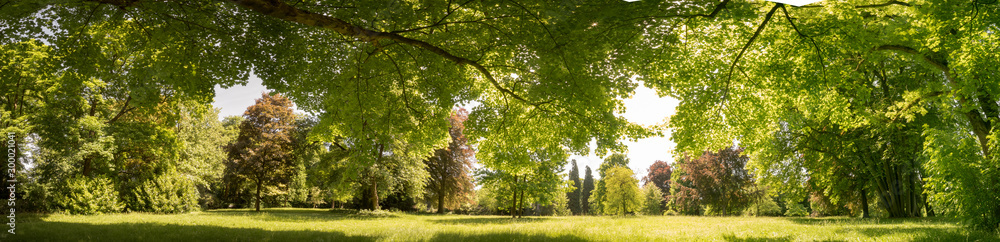 Naklejka premium Gepflegte Parkanlage im Sommer