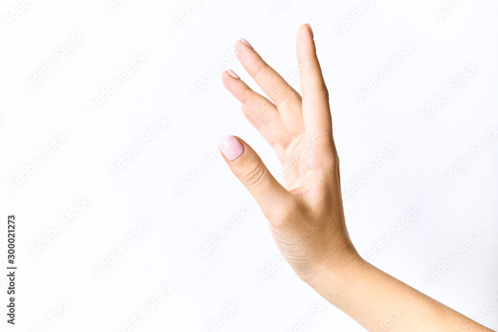 Beautiful female hands. With gently pink manicure. Isolated on a white background