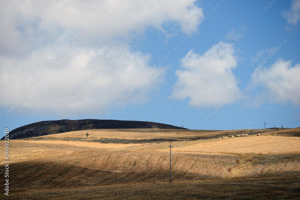 Fototapeta premium landscape at countryside sicily, italy