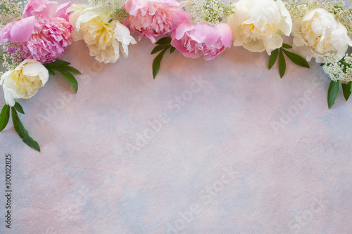 Decorative background with pink in white peonies, space for text, greetings.