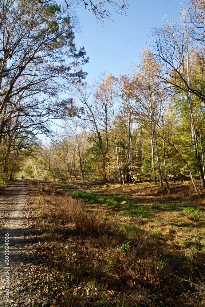 Autumn Walking Autumn Walking