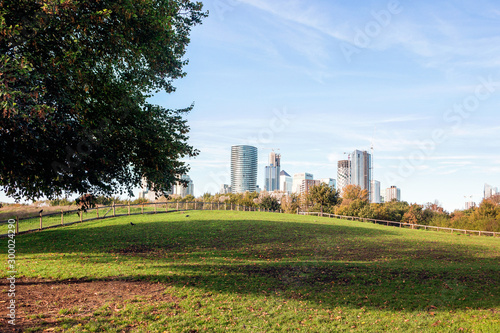 green plants in Mudchute Park and Farm with modern building cityscape  photo