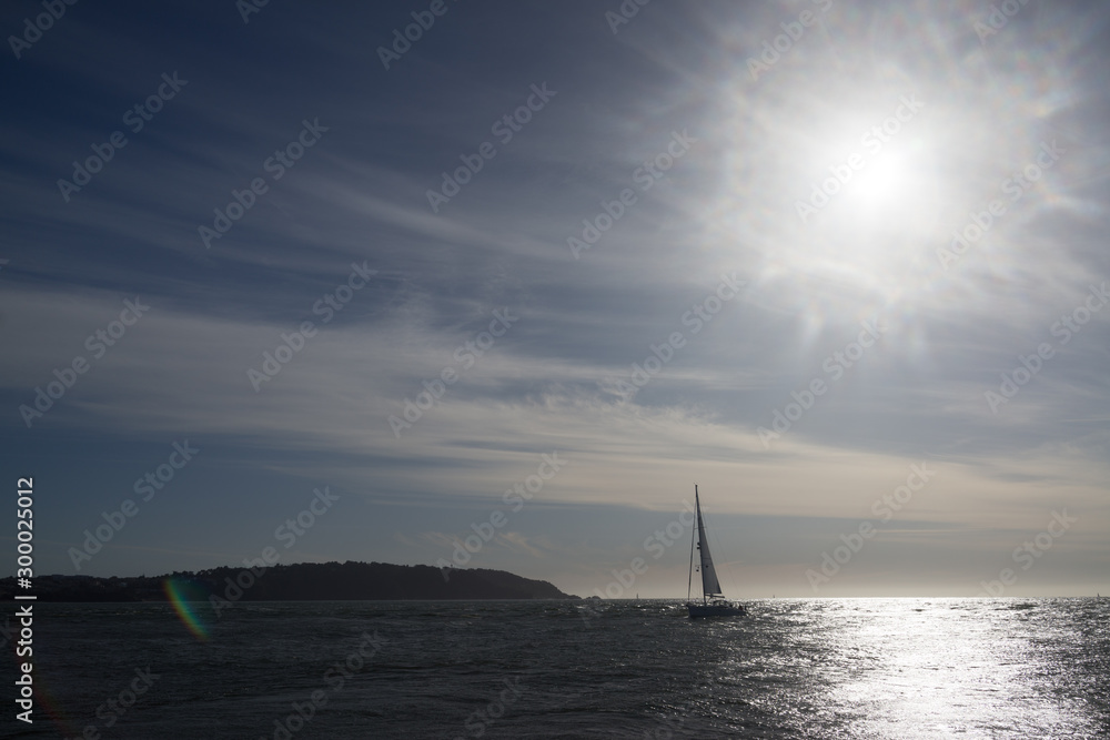 Fototapeta premium Sailing