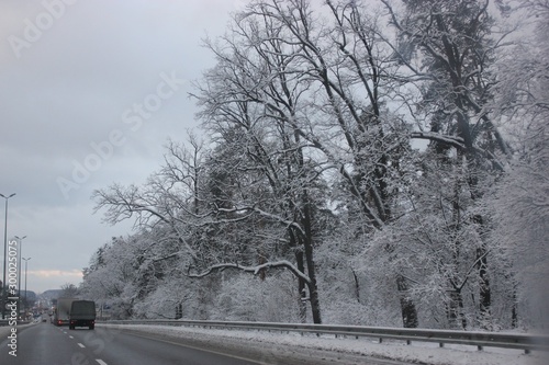 First snow: snowy road, pines, cars