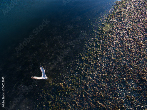 Flight photo