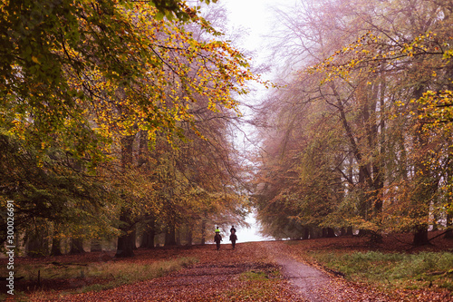 Two people ride horses in the autumn forest