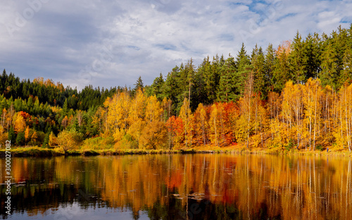 mountain lake with pines and birches in autumn season