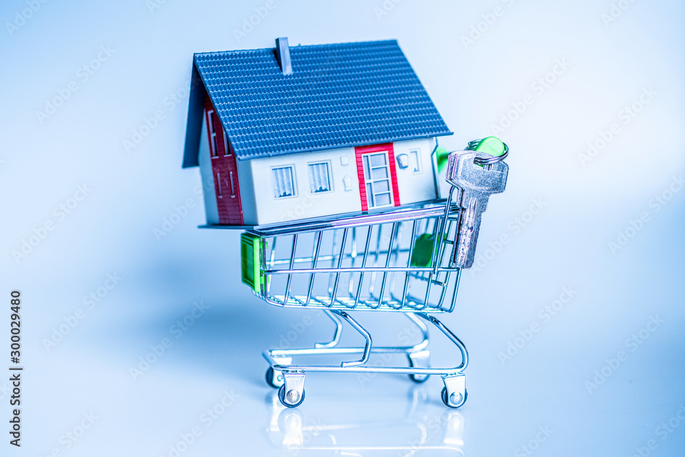 Ein Haus kaufen - Konzeptbild