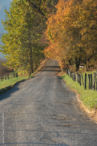 Gravel Road in Fall