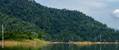 Beautiful image of rain-forest with reflection in water at Royal Belum State Park, Gerik Perak Malaysia. photo