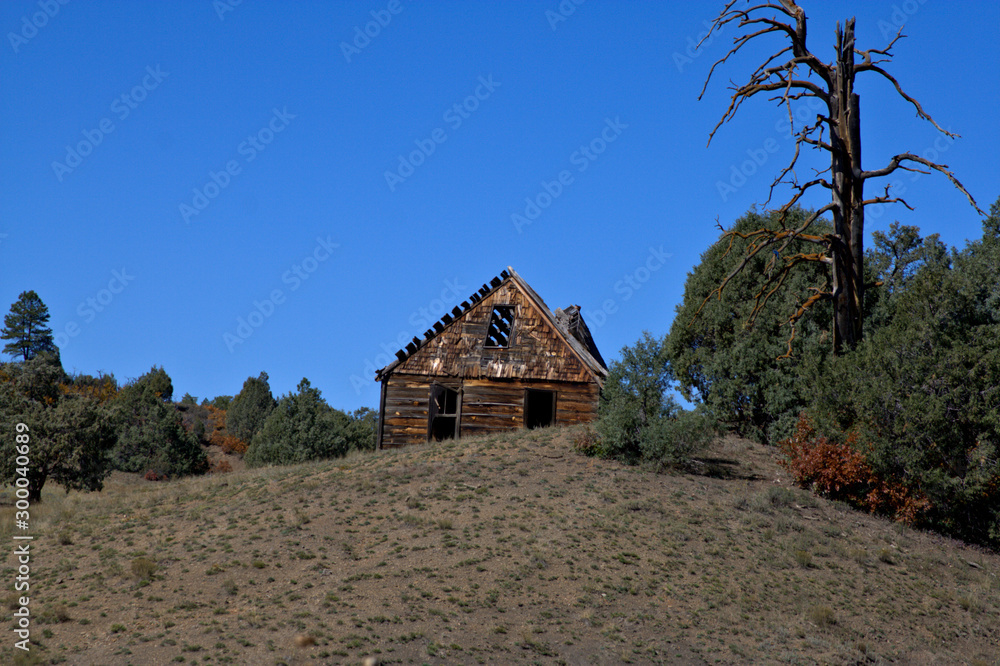 Old abandoned home on top of a hill surrounded by pine trees in late summer Old abandoned home on top of a hill surrounded by pine trees in late summer