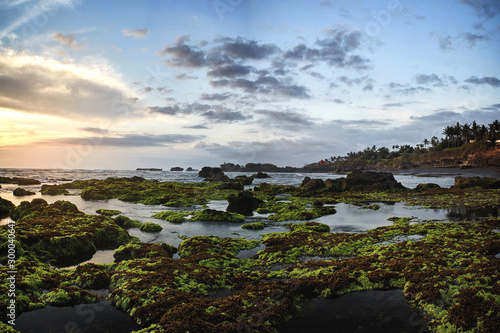 Bali island landscape sunset seaside view. Rock with seawead and black sand in long exposure