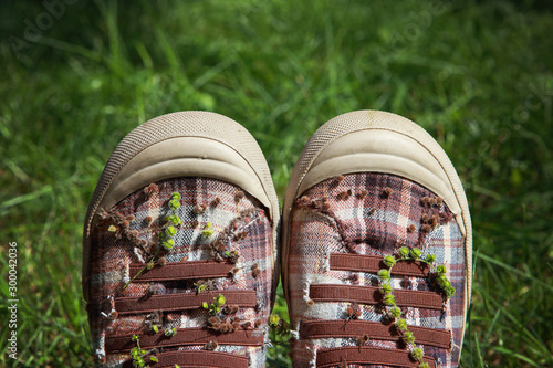 Plaid shoes with various burrs stuck on them after a walk