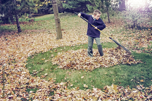 Obraz na płótnie Boy raking leaves in a yard doing chores