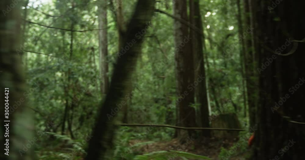 Tracking tight shot of mountain bike tires going through the rain forest Tracking tight shot of mountain bike tires going through the rain forest