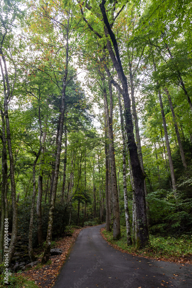 Naklejka premium Great Smoky Mountains National Park