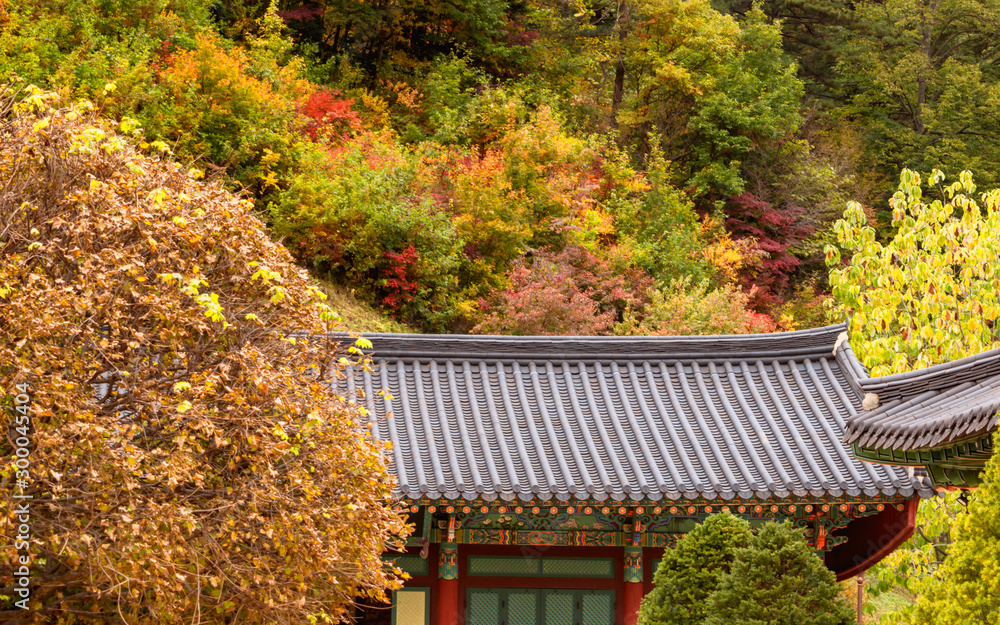 Autumn scenses at Odaesan National Park with Huddhist Temples Autumn scenses at Odaesan National Park with Huddhist Temples