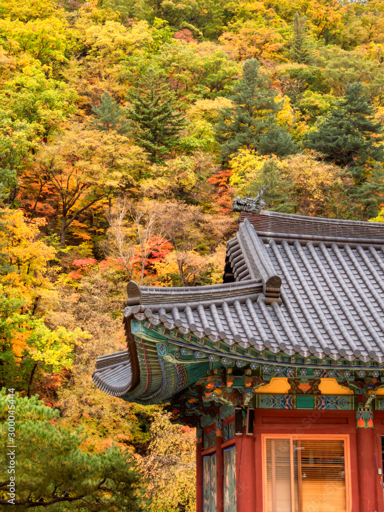 Autumn scenses at Odaesan National Park with Huddhist Temples Autumn scenses at Odaesan National Park with Huddhist Temples