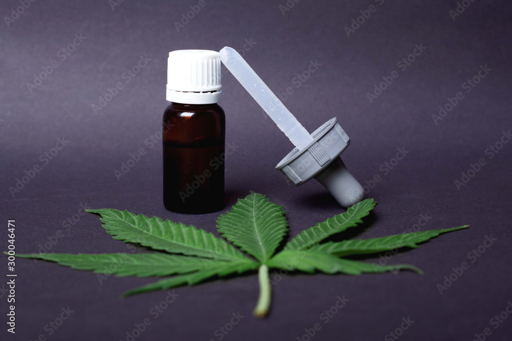 cannabis plant medical oil containing THC and CBD for the treatment of epilepsy and therapy for cancer patients cannabis plant medical oil containing THC and CBD for the treatment of epilepsy and therapy for cancer patients