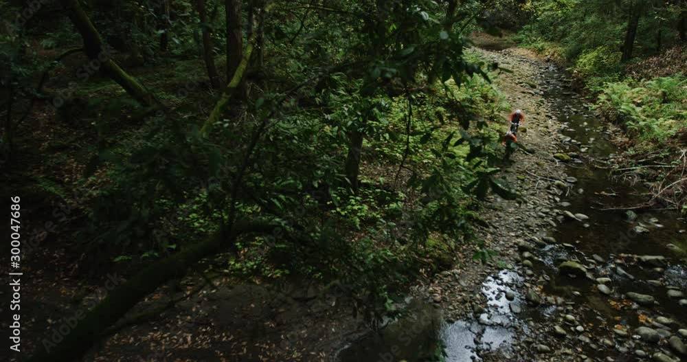 Tracking camera above two mountain bikers in the rain forest racing Tracking camera above two mountain bikers in the rain forest racing