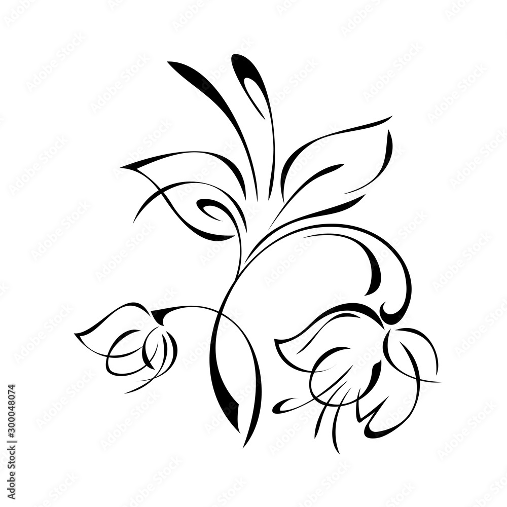 stylized flower with two buds on a curved stem with leaves and curls in black lines on a white background stylized flower with two buds on a curved stem with leaves and curls in black lines on a white background