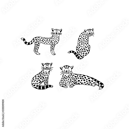 Set of baby leopard in doodle style, vector illustration.