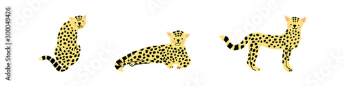Baby leopard in different poses, vector illustration.