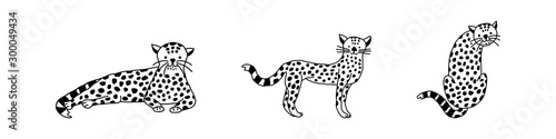 Baby leopard in doodle style, vector illustration.