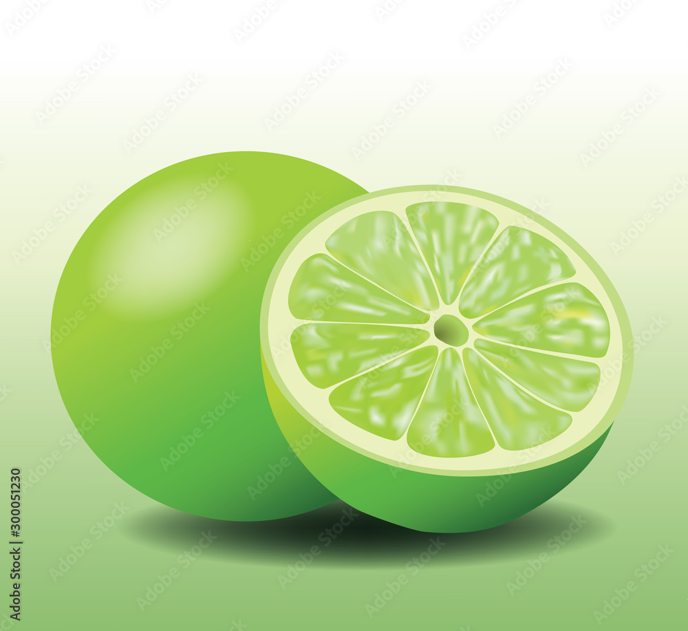Fresh Lemon Lime, Sliced and Whole Fruit, Realistic Vector