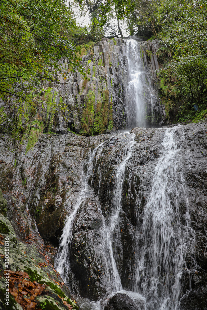 Obraz premium Georgia. Mountains and rivers of wildlife. The beauty and wealth of Georgia is forests and rivers.