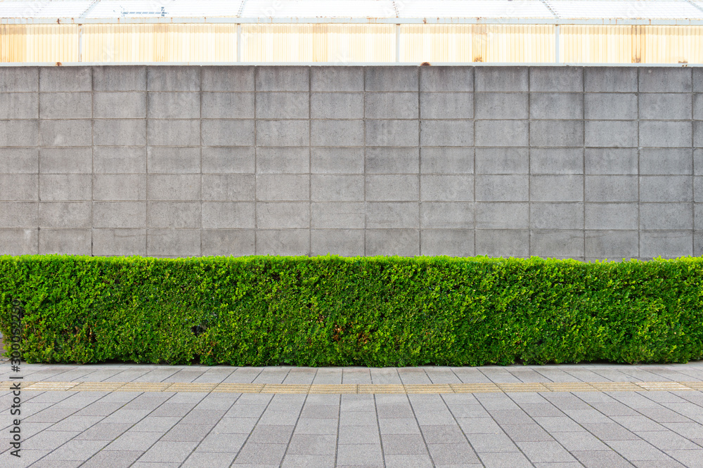 street wall background ,Industrial background, empty grunge urban street with warehouse brick wall