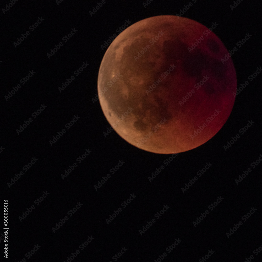 Fototapeta premium Full moon and red blood eclipse phases