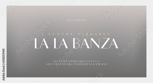 Elegant alphabet letters font and number. Classic Lettering Minimal Fashion Designs. Typography fonts numbers serif uppercase and lowercase. vector illustration