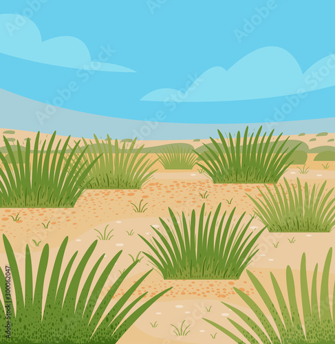 Desert Grasses Illustration