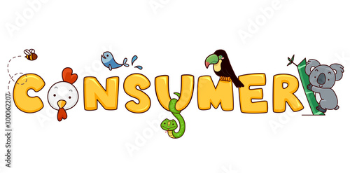 Consumer
