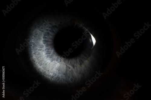 Pupil of a person peeps out of dark background