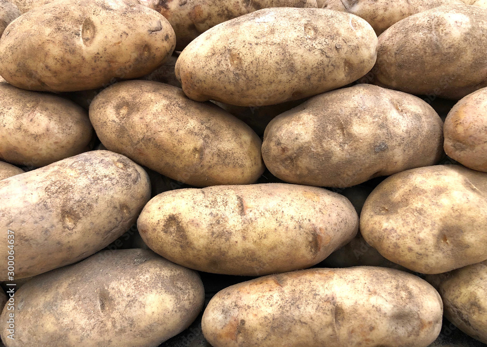 Close up on pile of Russet Potatoes, also known as Idaho potatoes in the U.S.. Ideal for baking, mashing, and making french fries. Close up on pile of Russet Potatoes, also known as Idaho potatoes in the U.S.. Ideal for baking, mashing, and making french fries.